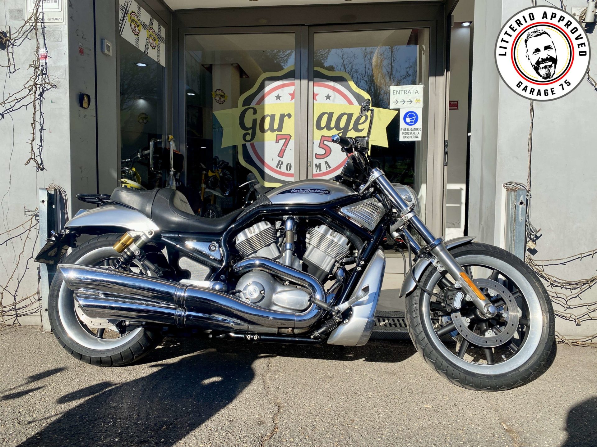 Harley Davidson VRSCB 1130 V-ROD - 2004 - Usata Roma - Garage 75